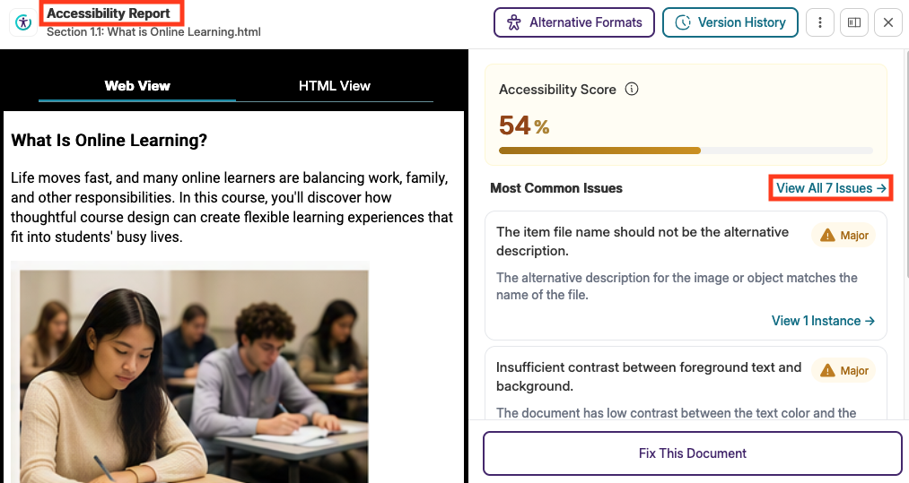 Panorama Accessibility Report  with view all 7 issues highlighted