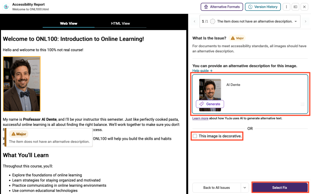 Panorama accessibility report for alt image adding alt text