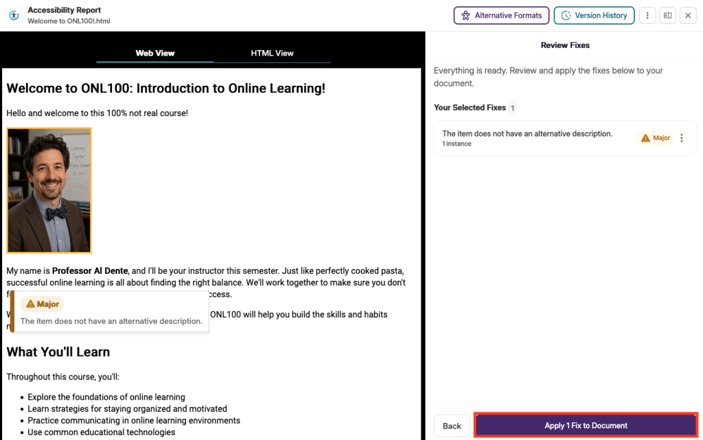 Panorama accessibility report with apply fix to document highlighted