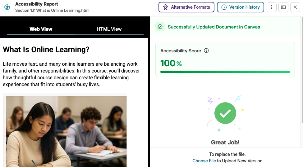 Panorama Accessibility Report shows 100% accessibile score